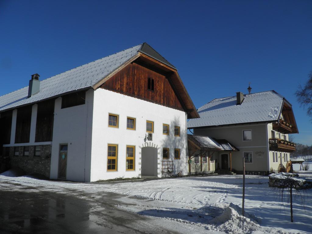 Ulnhof Apartment Mariapfarr Bagian luar foto